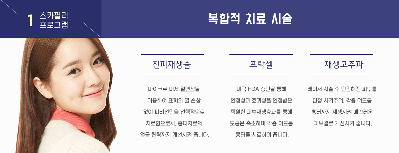 스카이필러프로그램