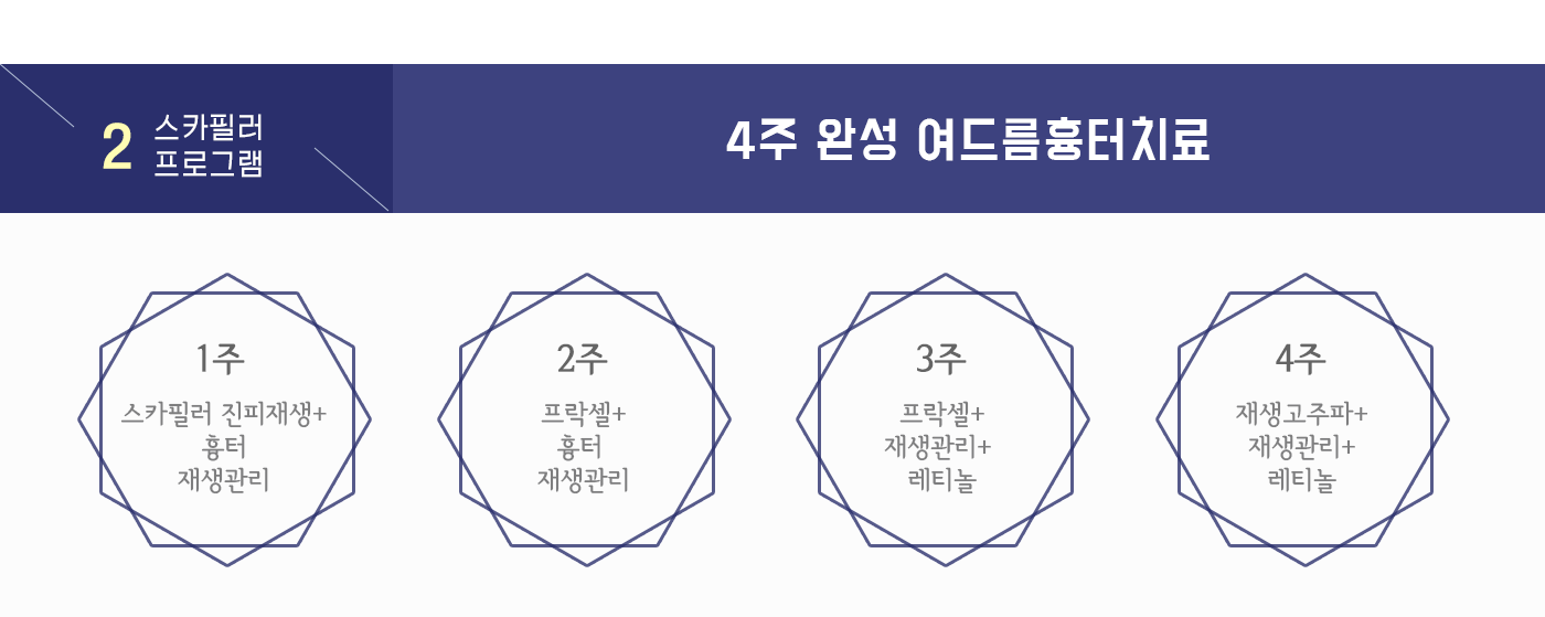 스카이필러프로그램