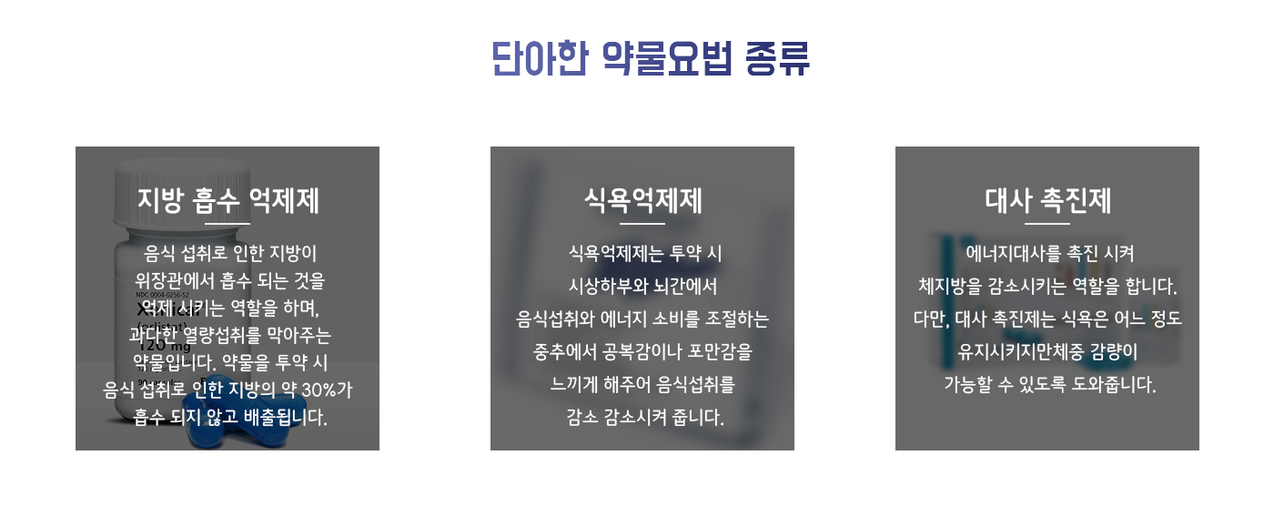 식욕억제제